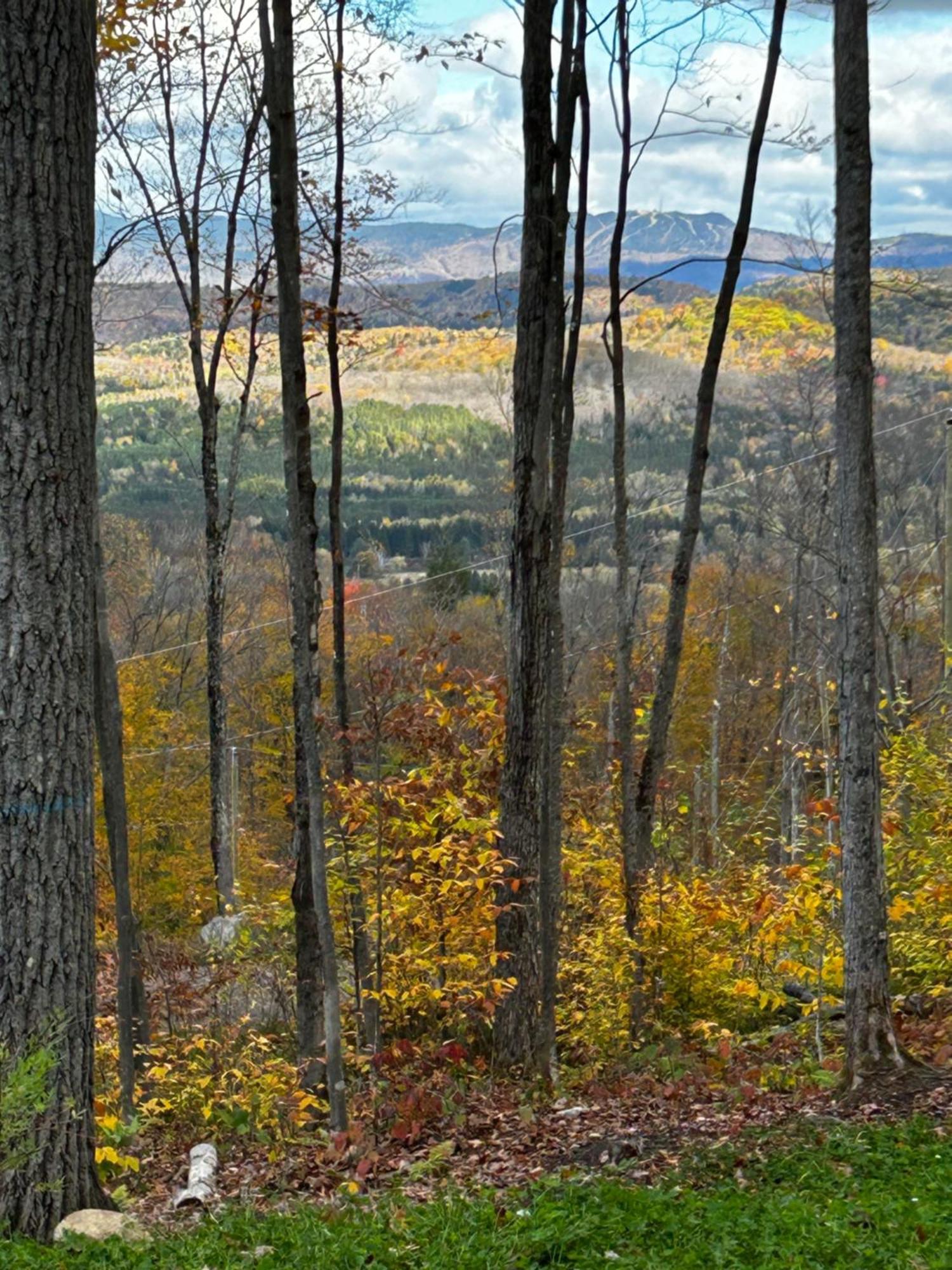 New With Views Of Mont-Tremblant Family & Retreat Luxury Villa La Conception Exterior photo